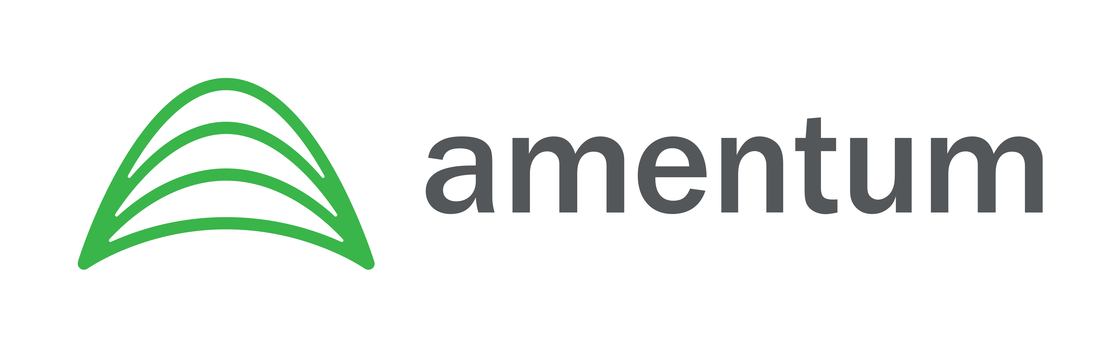 Amentum Amentum